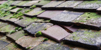 Llaingoch roof repair costs